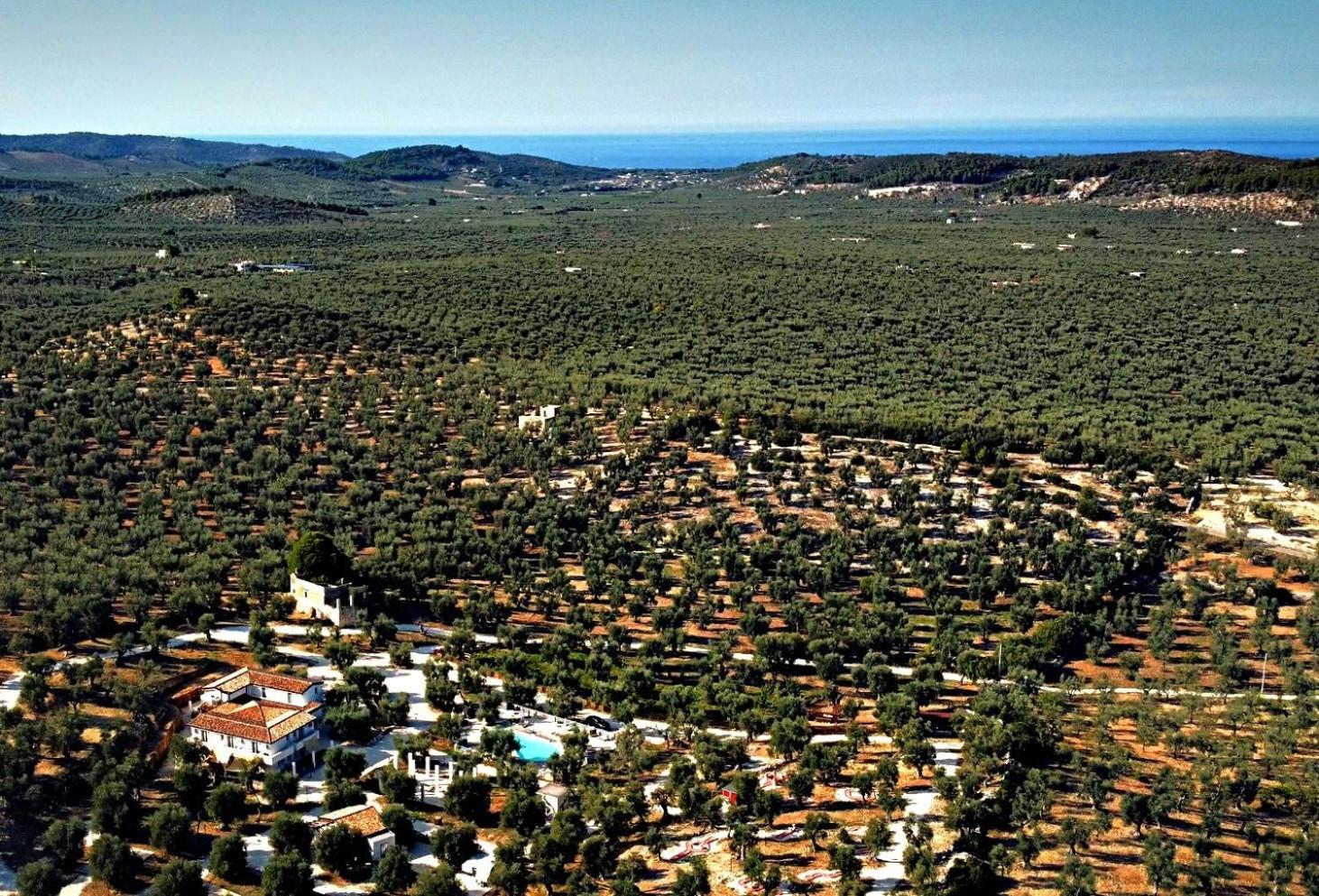 Agricampeggio - Solo Piazzole Vuote - Agriturismo Passione Natura Vieste Exterior photo